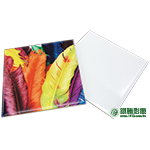 TL01001彩色羽毛